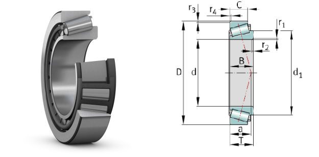 1750744675181080.gif cono.gif